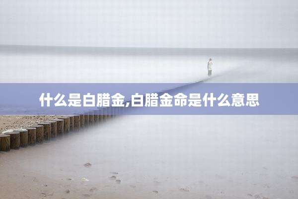 什么是白腊金,白腊金命是什么意思