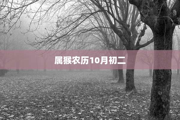 属猴农历10月初二