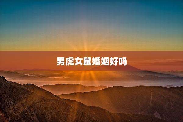 男虎女鼠婚姻好吗