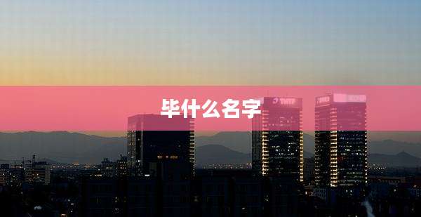 毕什么名字