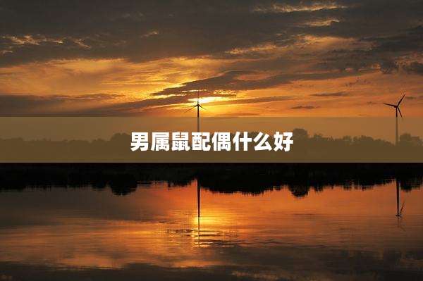 男属鼠配偶什么好