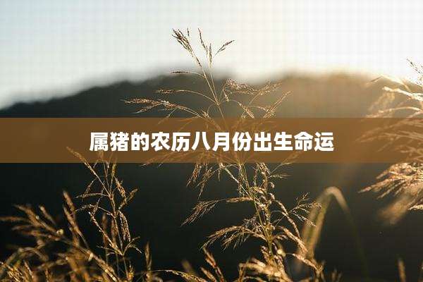 属猪的农历八月份出生命运
