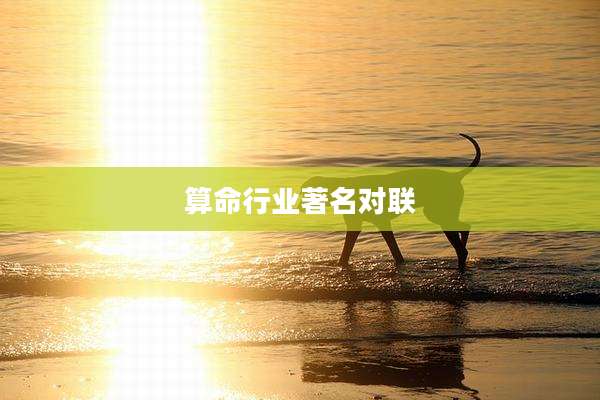 算命行业著名对联