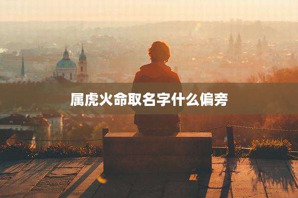 属虎火命取名字什么偏旁
