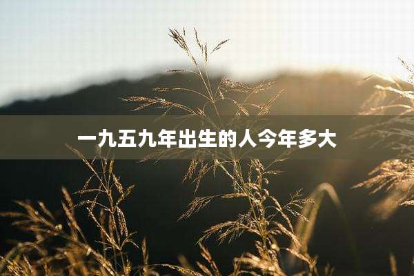 一九五九年出生的人今年多大