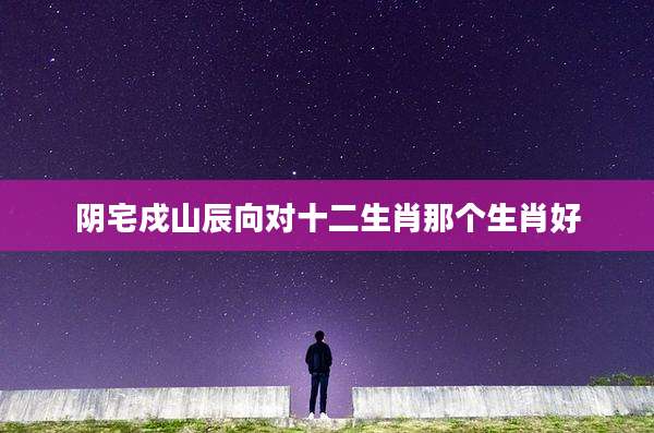 阴宅戍山辰向对十二生肖那个生肖好