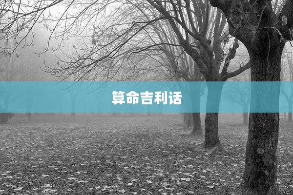 算命吉利话