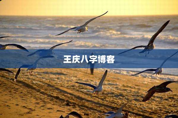 王庆八字博客