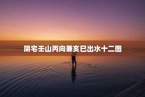 阴宅壬山丙向兼亥巳出水十二图