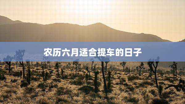 农历六月适合提车的日子