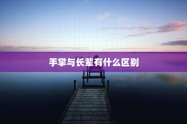 手掌与长辈有什么区别