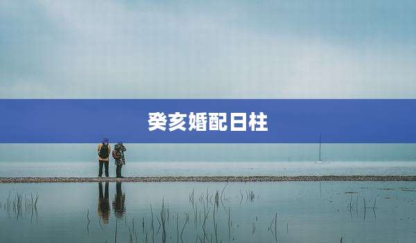 癸亥婚配日柱