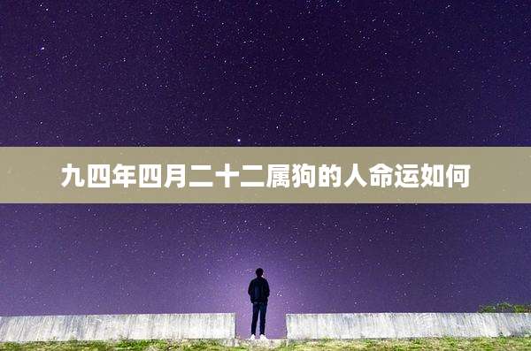 九四年四月二十二属狗的人命运如何