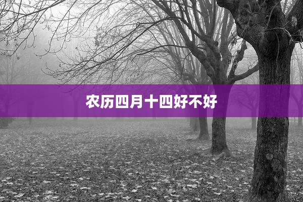 农历四月十四好不好
