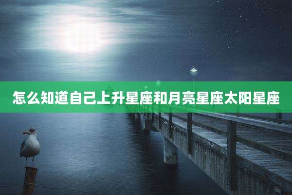 怎么知道自己上升星座和月亮星座太阳星座