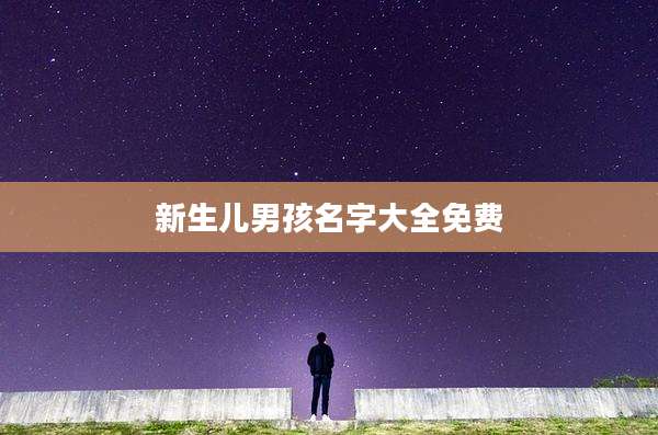 新生儿男孩名字大全免费