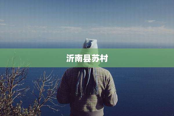 沂南县苏村