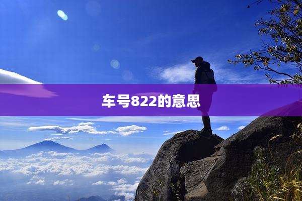 车号822的意思