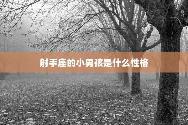 射手座的小男孩是什么性格