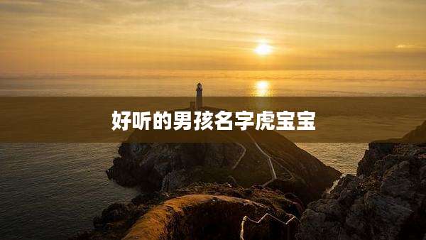 好听的男孩名字虎宝宝