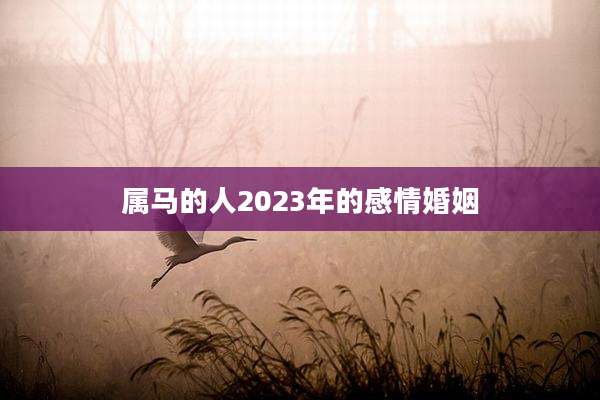 属马的人2023年的感情婚姻