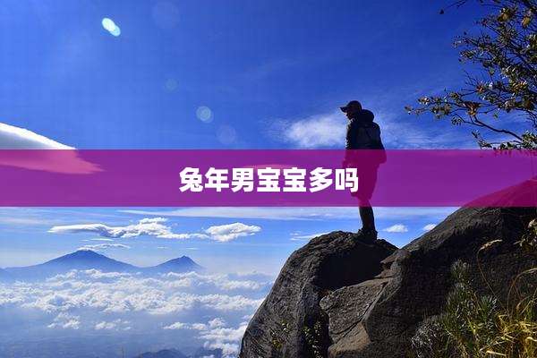 兔年男宝宝多吗