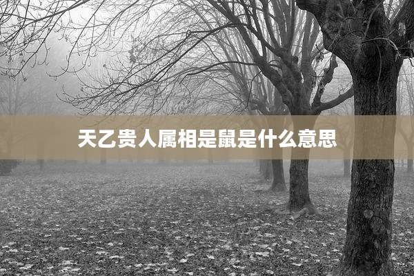 天乙贵人属相是鼠是什么意思
