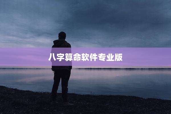 八字算命软件专业版