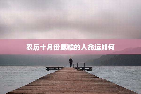 农历十月份属猴的人命运如何