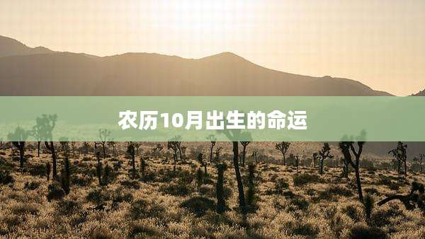农历10月出生的命运