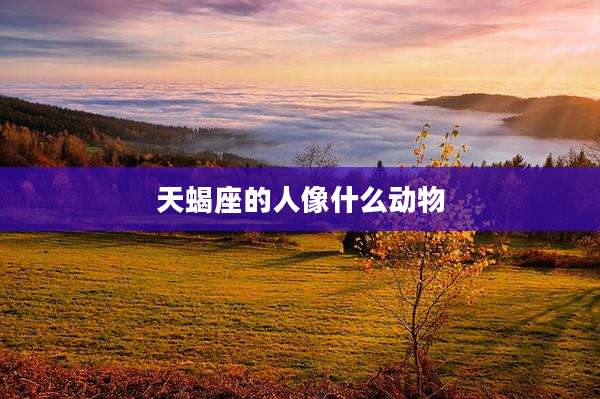天蝎座的人像什么动物