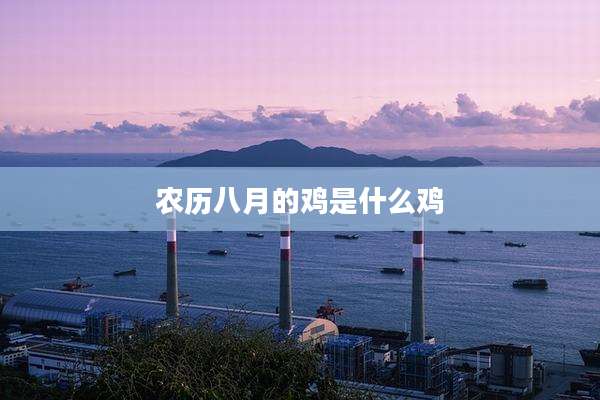 农历八月的鸡是什么鸡