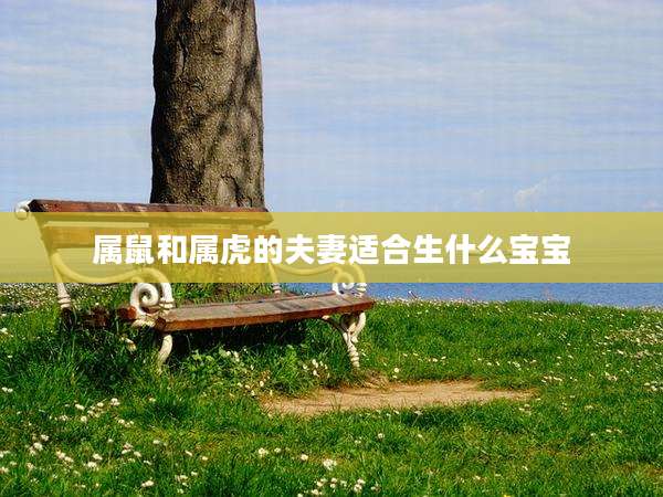 属鼠和属虎的夫妻适合生什么宝宝
