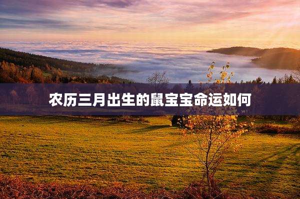 农历三月出生的鼠宝宝命运如何