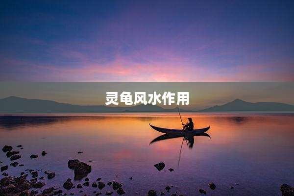 灵龟风水作用