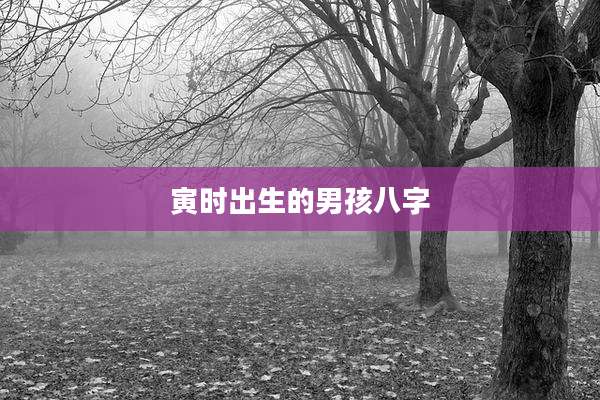 寅时出生的男孩八字