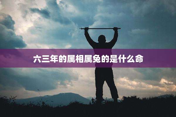 六三年的属相属兔的是什么命