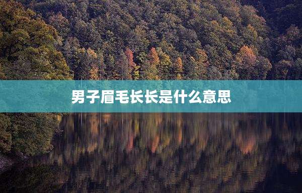 男子眉毛长长是什么意思