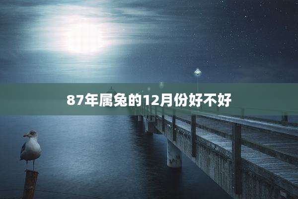 87年属兔的12月份好不好
