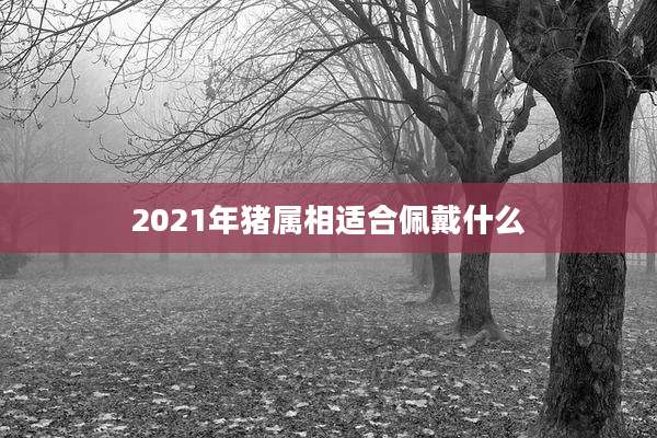 2021年猪属相适合佩戴什么