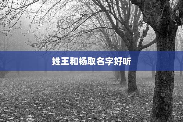 姓王和杨取名字好听