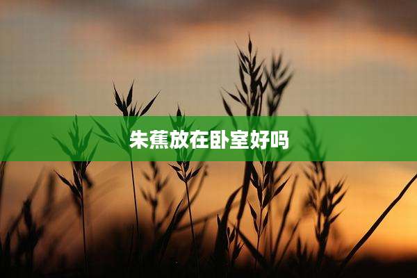 朱蕉放在卧室好吗