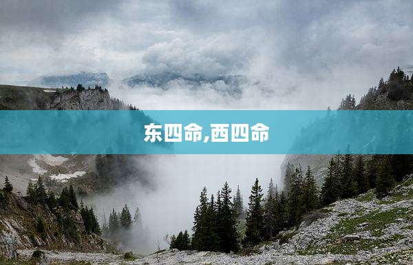 东四命,西四命