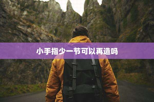 小手指少一节可以再造吗