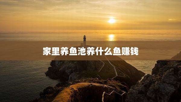 家里养鱼池养什么鱼赚钱