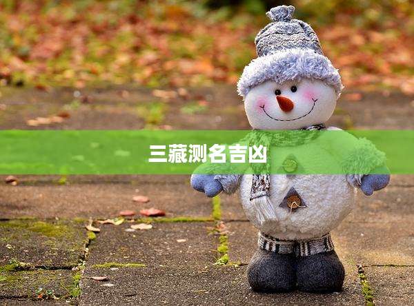 三藏测名吉凶