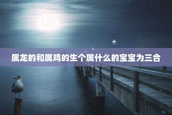 属龙的和属鸡的生个属什么的宝宝为三合