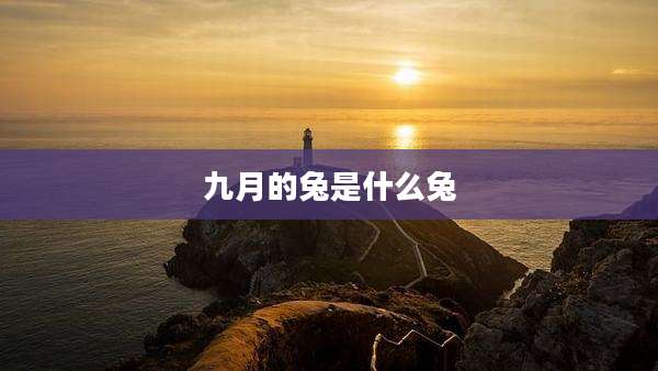 九月的兔是什么兔