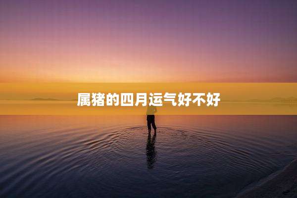 属猪的四月运气好不好