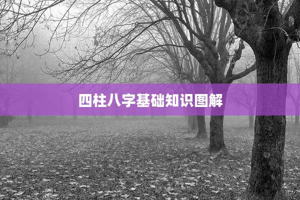 四柱八字基础知识图解